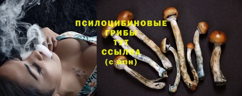 Галлюциногенные грибы Psilocybe  OMG онион  Балабаново 